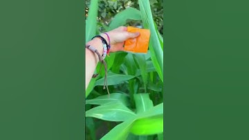 Realize NOT LOL sorry 🤮😂😂#trend#magic #tutorial #backstage #creative#shorts