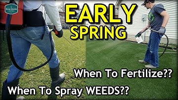 When To Start FERTILIZING or SPRAYING in Spring // Early Spring Lawn Tips