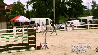 Diokles - Polish Championships for Young Horses (MPMK)