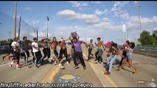 tiny little adiantum is superior