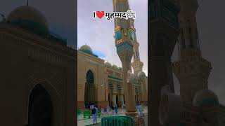 I❤️मुहम्मदﷺ #shorts #ytshorts #feed #islam #trending #islamicshorts  #ilovemuhammadﷺ #thankyouallah