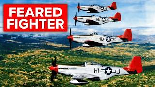 The Fighter That Broke The Luftwaffe Why The P 51 Mustang Changed The Air War