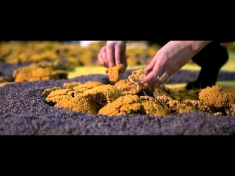 L’Occitane | 40