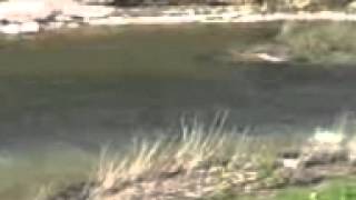 The beautiful Paluxy River Glen Rose Tx