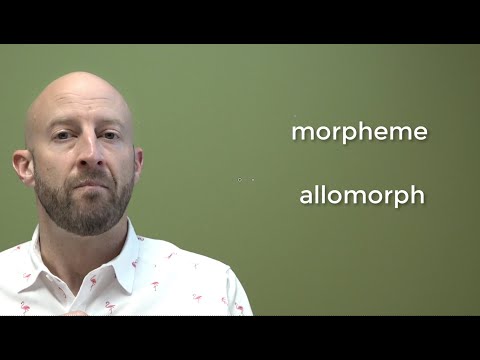 Video: Er A og en Allomorphs?