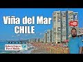 Un peruano camina y opina por Viña del Mar | Chile 🌞😎