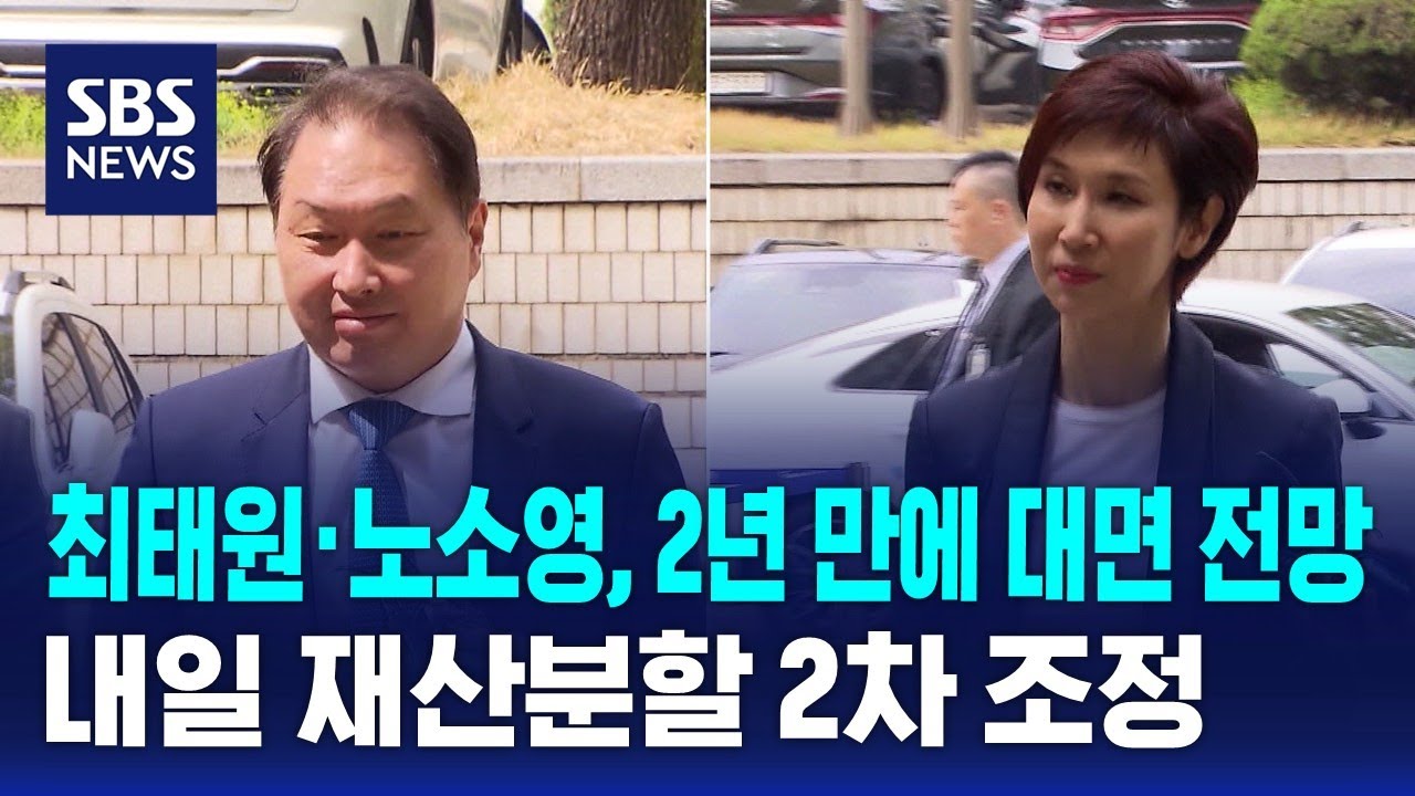 최태원·노소영, 2년 만에 대면 전망..내일 재산분할 2차 조정 / SBS