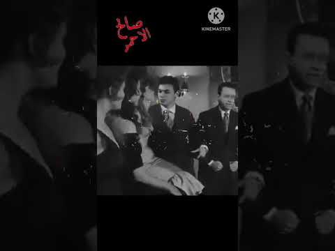 قلبى القاسم يحب سعد عبد الوهاب