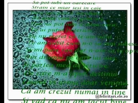 trandafirul de la tine.mpg