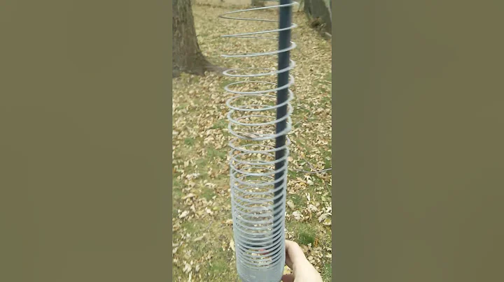 Slinky squirrel deterrent How To Protect Bird feeders