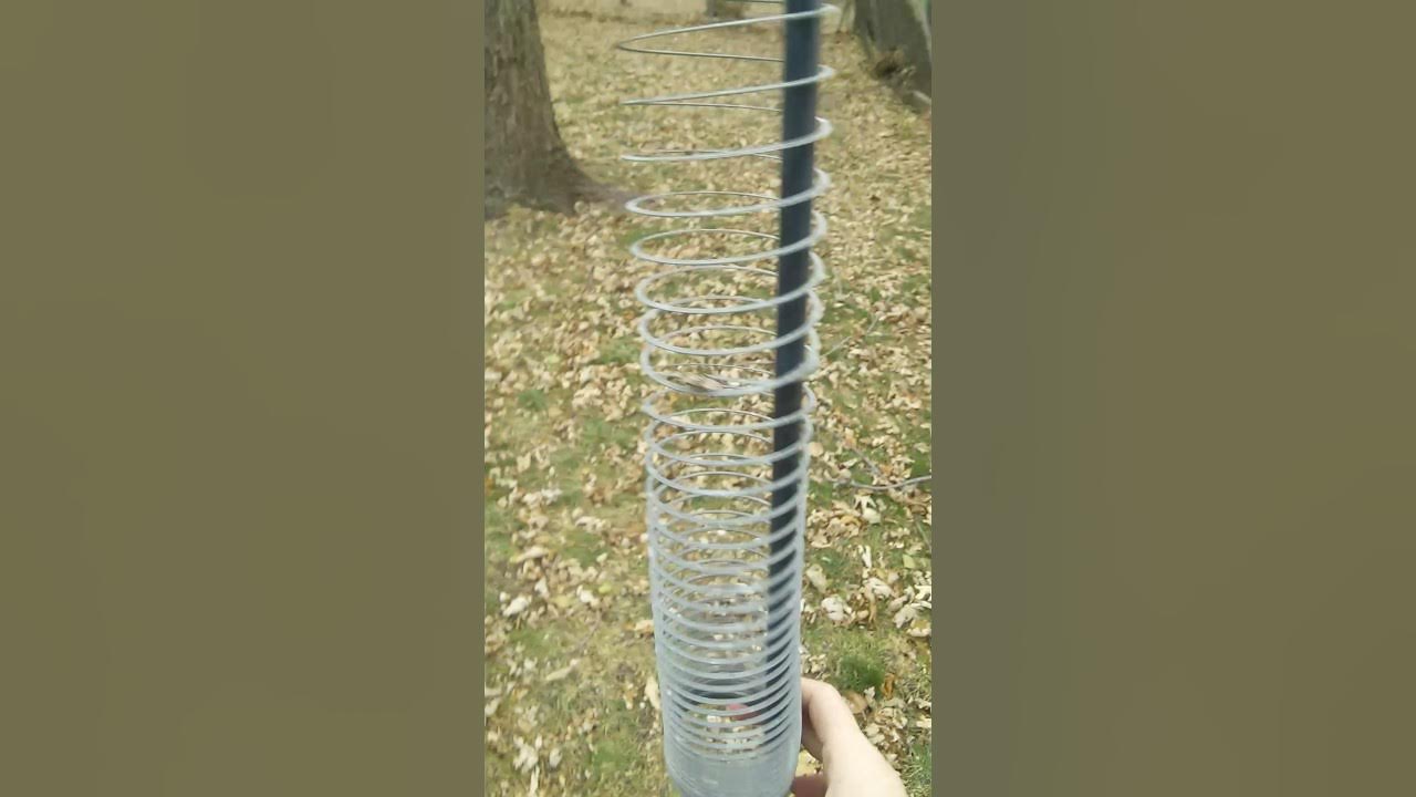 Slinky squirrel deterrent How To Protect Bird feeders YouTube