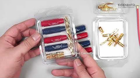 VanDenHul - The Berribus Connectors | Bắp Chuối Audio | Phân Phối Chính Hãng | DoDienTu.com.vn