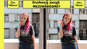 Co je národní znakový jazyk?