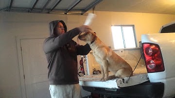 Ella 2nd force fetch session