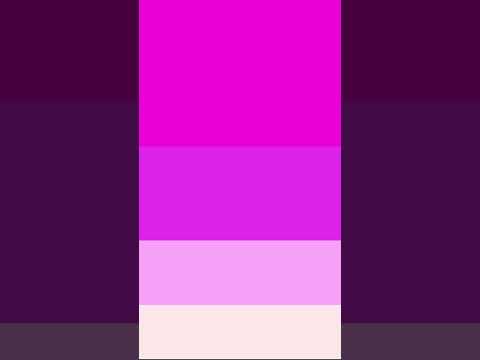 Fuchsia Color Palette Hues 