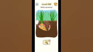 DOP Level 1104 Solutions