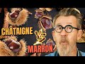 Chtaigne vs marron  quelles diffrences    