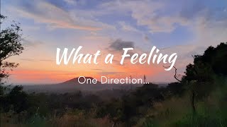What a Feeling - One Direction ( lyrics )