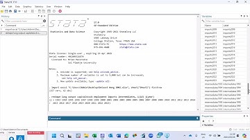Panel Stochastic Frontier Model With Endogeneity in Stata
