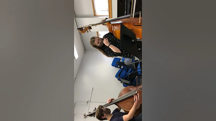 Ensemble musician - observation of rehearsal