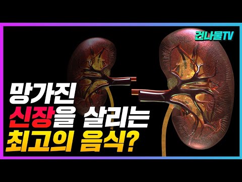 약해진 신장을 살리는 보약보다 좋은 음식 5가지