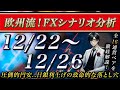 【FX】12/21 来週のシナリオ解説 〜 圧倒的円安..日銀利上げの致命的な落とし穴とは..？ 〜