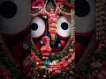 Jay jagannath ⭕‼️⭕🙏🏾 sad bhajan odia story Jay jagannath 🙏🏾🙏🏾..,.......