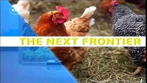 UNIFORM-Agri in Kenya!