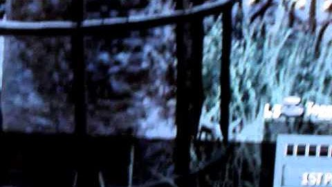 Lockdown gb dispute part 1