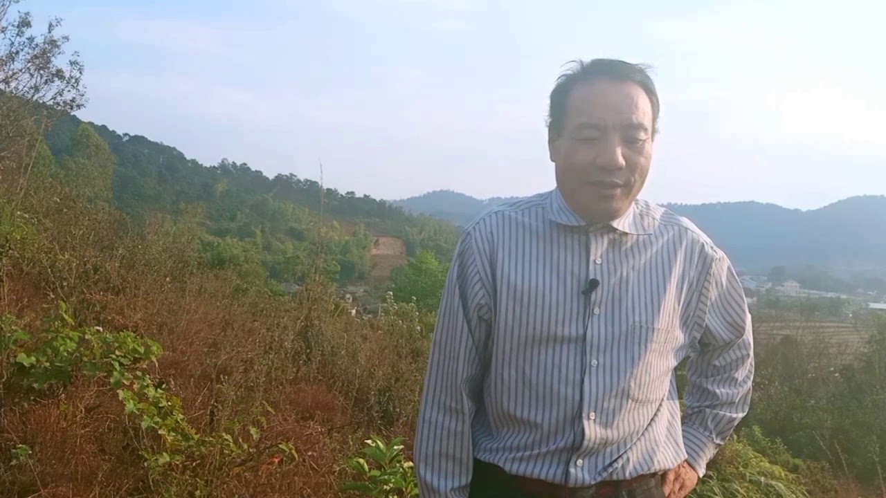 Zaj txiv xaiv cwb qhua rau txiv dab laug tuaj nias tsum 26/12/2019-20