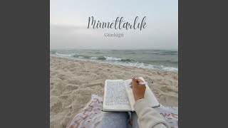 İnce Ayrıntılar screenshot 4