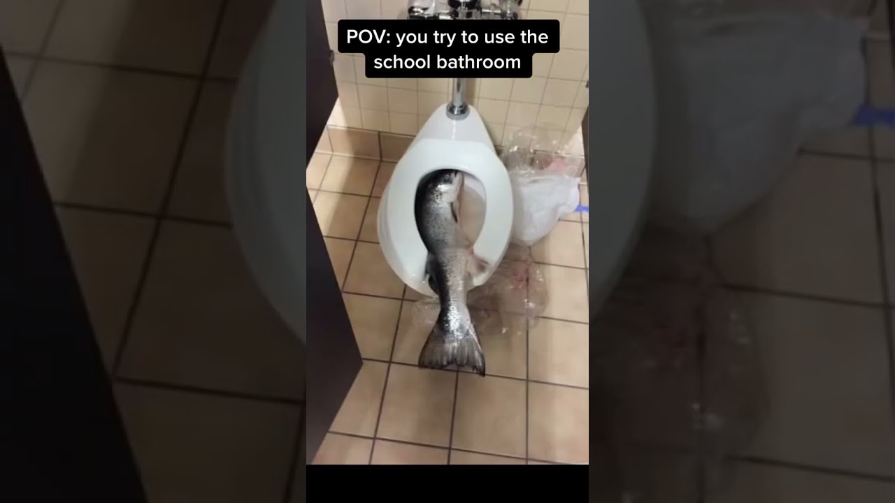 Pov You Try To Use The School Bathroom