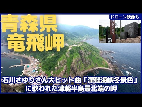 （真作）海霧降る龍飛岬への道 👀❗️ 📍霧多布岬のチシマラッコ 📷2024年8月1日 #霧多布