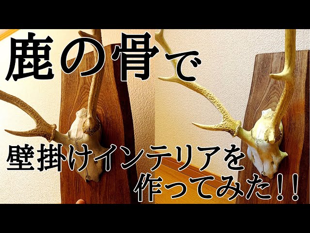 I made a wall hanging decor piece using deer bones! [DIY] STUDIO