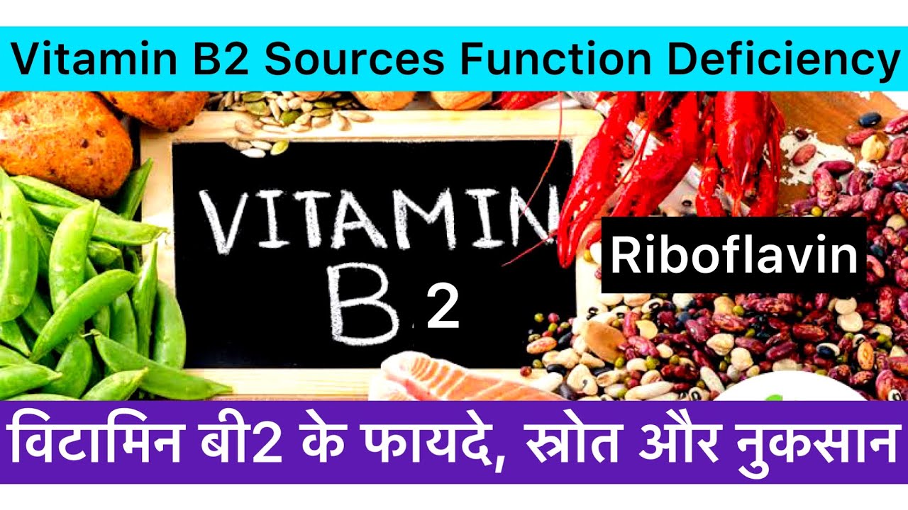 Vitamin B2 Source Function Deficiency Absorption Metabolism Storage