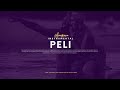 Free Amapiano Afrobeat Instrumental 2023 - "Peli"