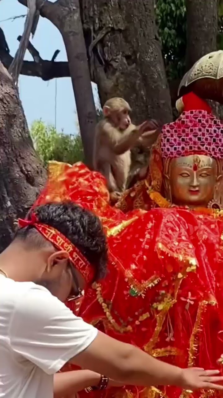 #youtubeshorts #youtube #shortsvideo #shorts #bhagyaneupane #short #hindi #song #nepal #hindisong