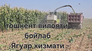 картинка: ЯГУАР КОМБАЙН ХИЗМАТИ КЕЛИШИЛГАН ХОЛЛАТДА ТАКЛИФ КИЛАМИЗ 