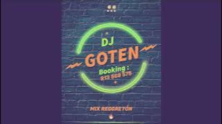 MIX TE PINTARON PAJARITOS - J BALVIN - NICKY JAM -OZUNA - FEID - BAD BUNNY - KAROL G [DJ GOTEN]