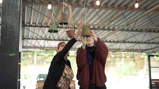 Annual Wicked Plant Fest 2021: Lehigh Valley
