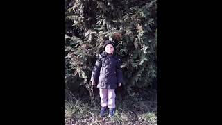 Девочки