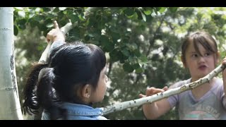 Adapting and Enhancing Curricula: Trees Are Alive!