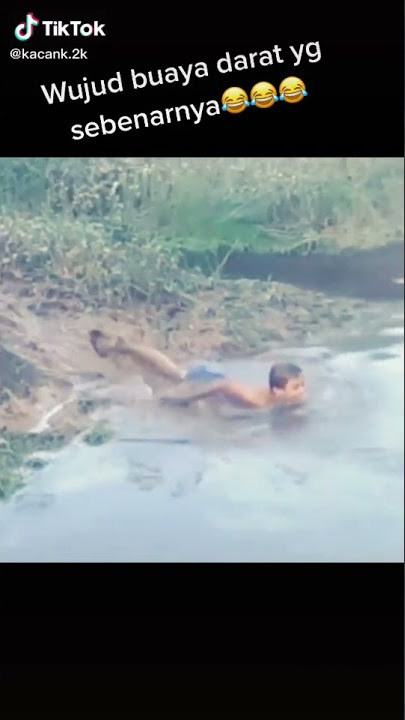 Kumpulan Story Wa Lucu The Real Buaya Darat