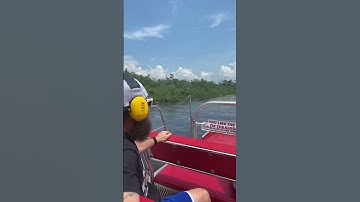 Thumbnail of Airboat ride swamp tour New Orleans