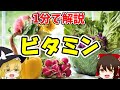 ビタミンAからビタミンB6までのビタミンを解説します