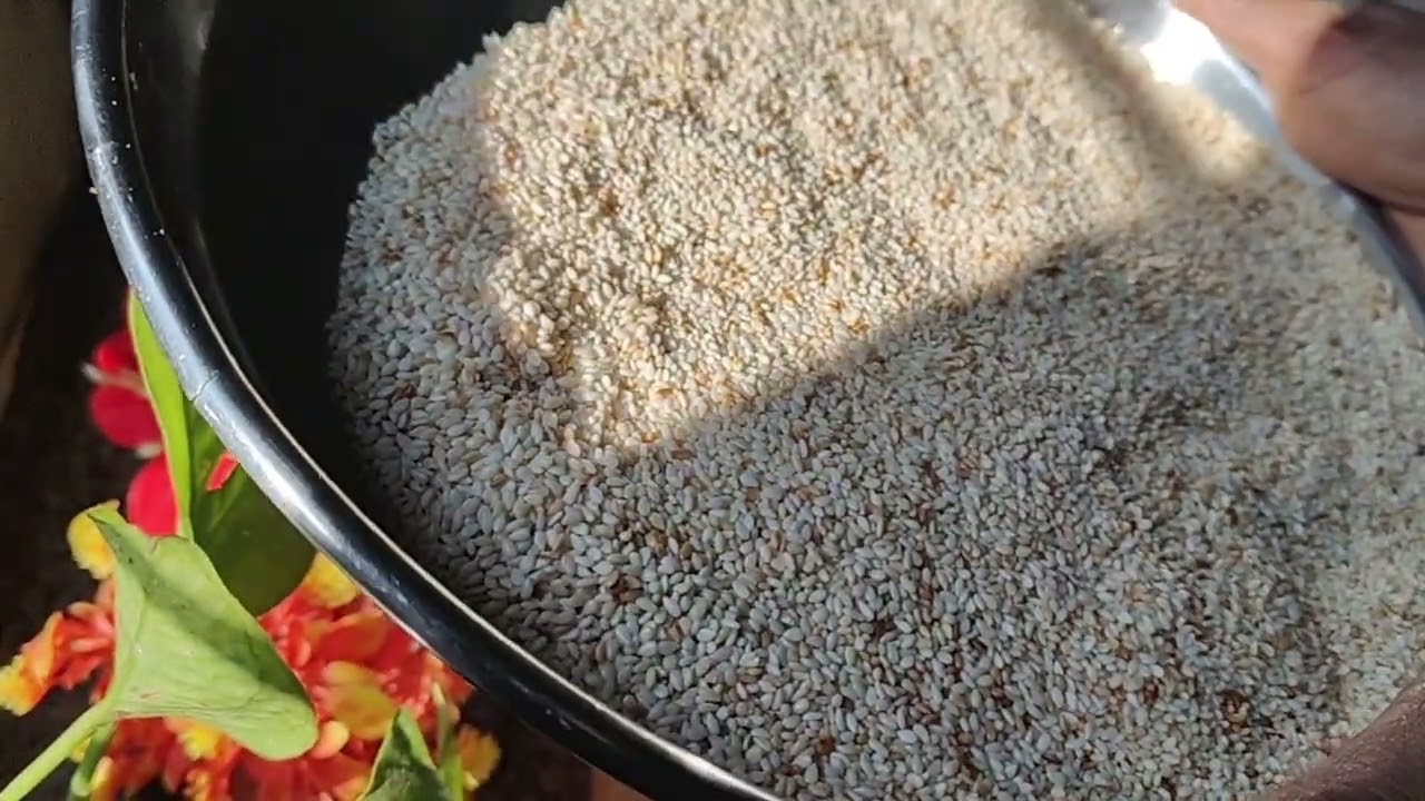 तिल गुड़ की मिठाई | मकर संक्रांति स्पेशल | पारंपरिक देसी रेसिपी..