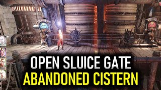 Sewer Cistern: Sluice Gate Puzzle | Baldur's Gate 3 (BG3)