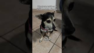 Baciamo Le Mani Credit .Snyy