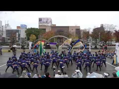 愛知淑徳大学 鳴踊　2016四日市よさこい祭り11/27（日）　市民公園会場