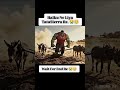 halku_ne tataseyara😭😂